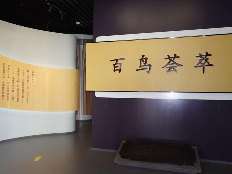 百鸟荟萃