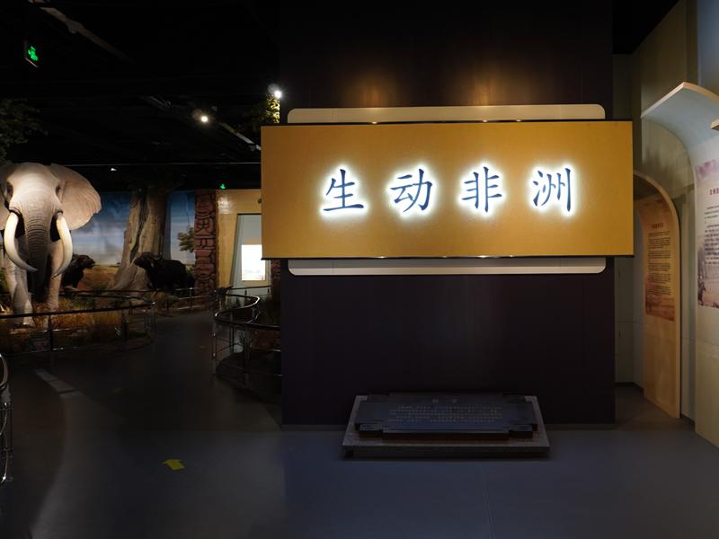 生动非洲