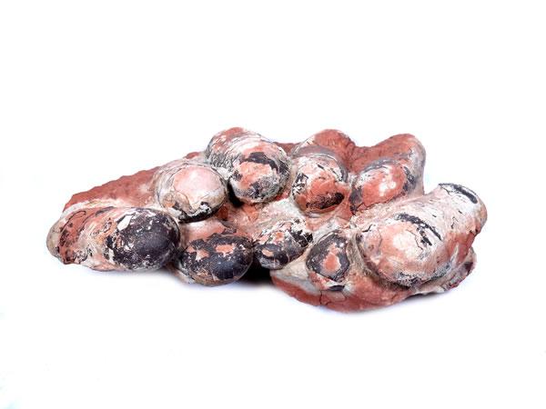 ​恐龙蛋窝（Dinosaur egg nest）