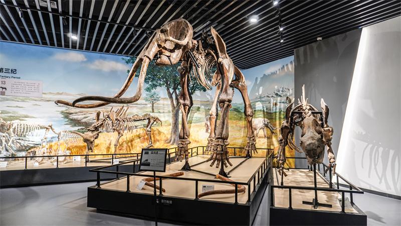 远古时代展厅场景