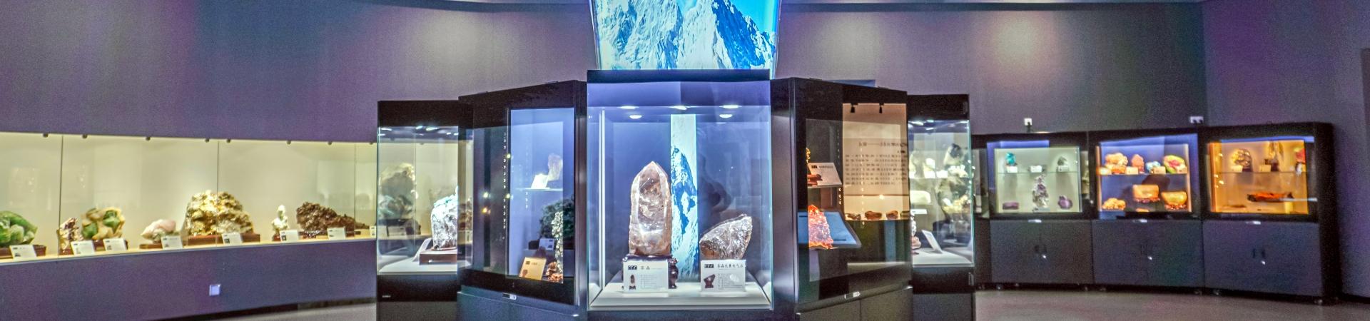 拓展•研学