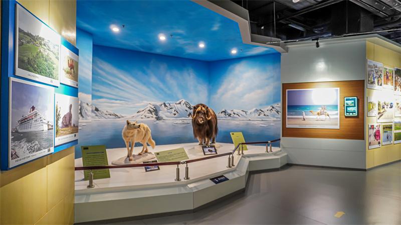 和谐自然展厅场景