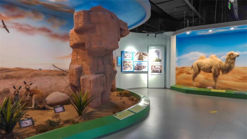 和谐自然展厅场景