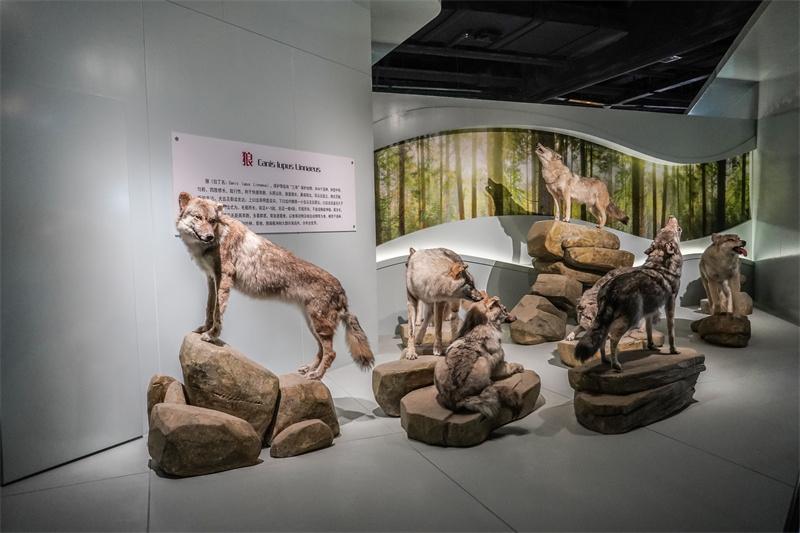 七域珍兽展厅场景