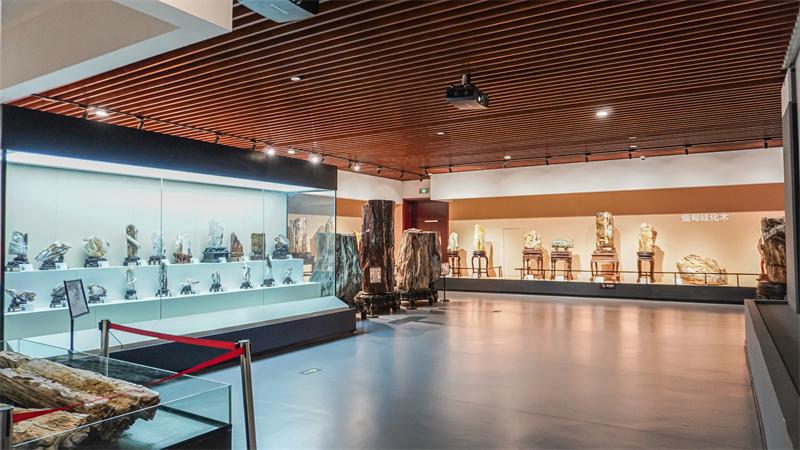 探秘硅化木展厅场景