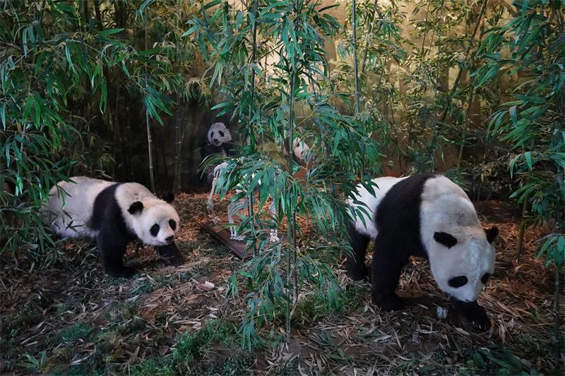 七域珍兽展厅场景