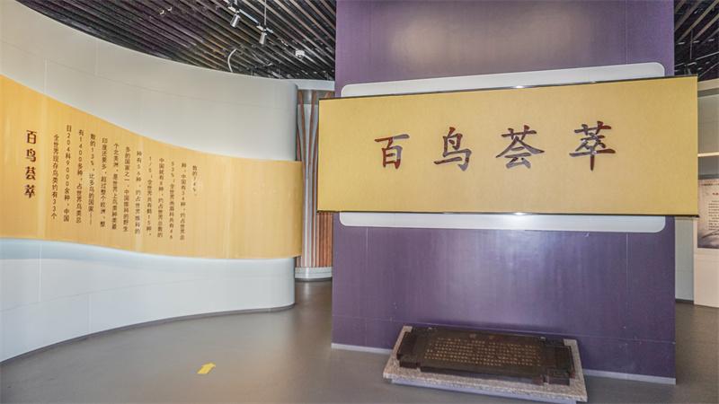 百鸟荟萃展厅场景