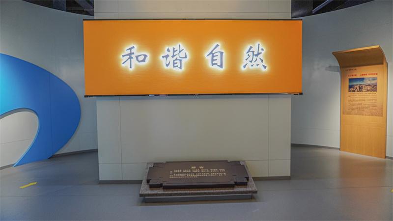 和谐自然展厅场景
