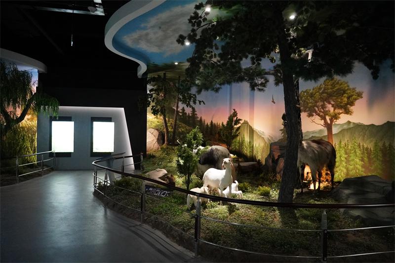 七域珍兽展厅场景