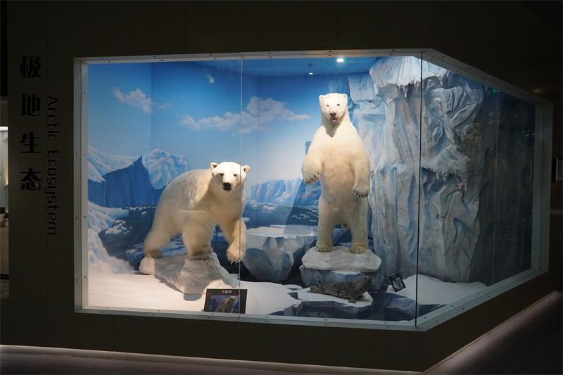 七域珍兽展厅场景