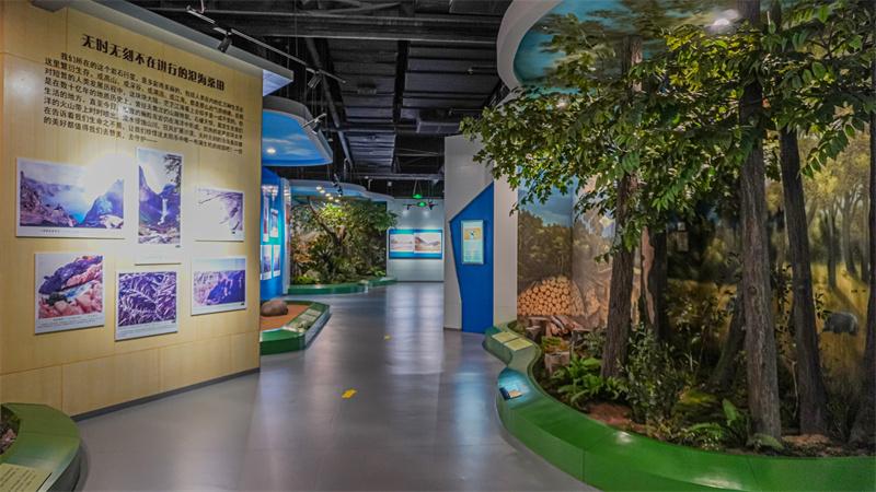 和谐自然展厅场景