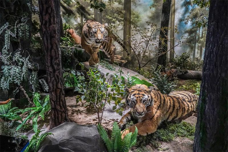 七域珍兽展厅场景