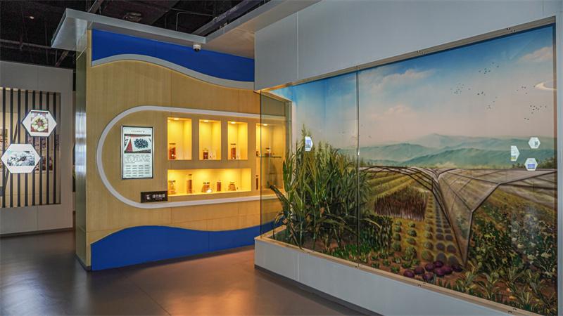 和谐自然展厅场景