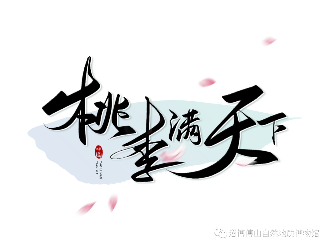 1694247441700317.png