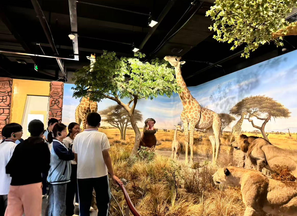 1759214154177797.png 1759214154177797.png